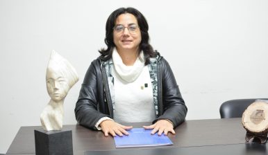 vicedecana - ingeniería