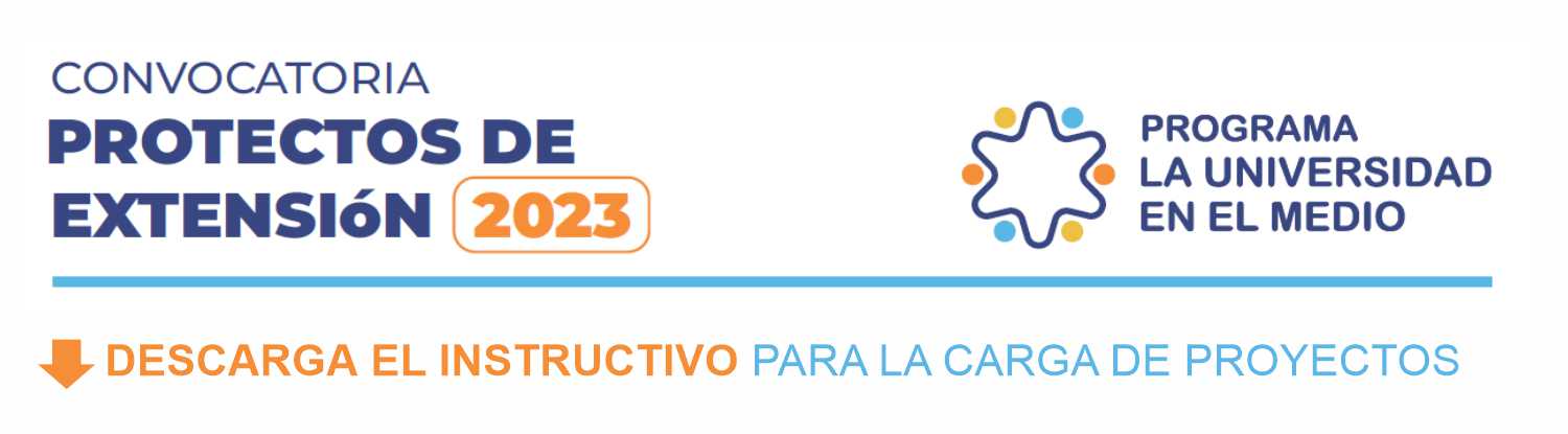 descarga Instructivo carga de Proyectos UNNE en el Medio 2023